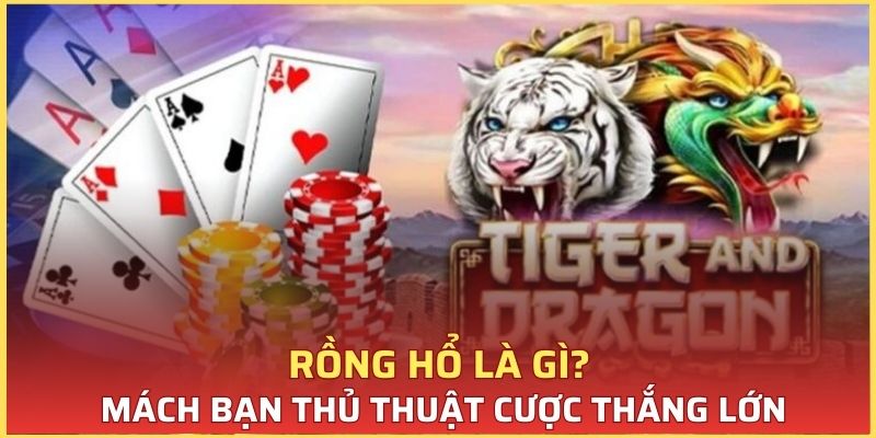 Khái niệm rồng hổ là gì và chiến thuật chơi hiệu quả